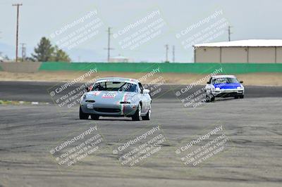 media/May-04-2025-Lucky Dog Racing (Sun) [[21629467aa]]/Turn 9 (115-130pm)/